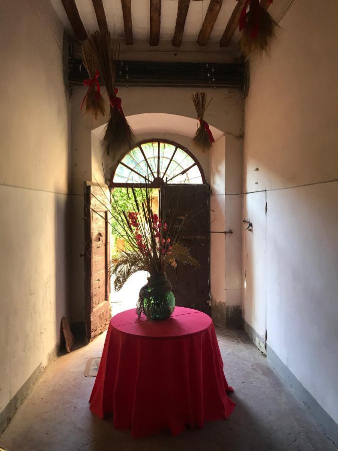Suite Romantica Con Giardino In Dimora Storica - Camera E Appartamento - B&B Palazzo Robicci 卡斯蒂里昂·菲奥伦蒂 外观 照片